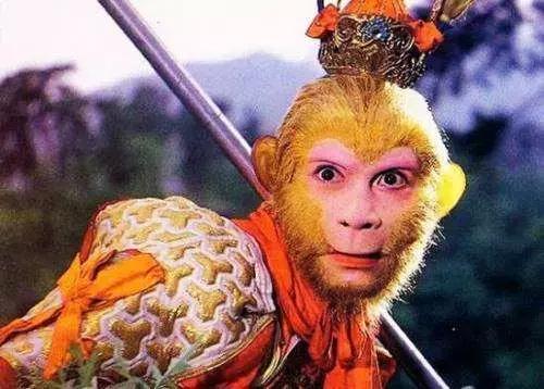 猪八戒为什么战斗力弱,猪八戒管理思路