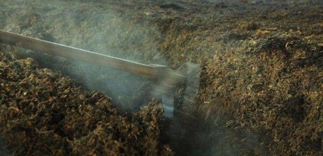 普洱茶紧压技术有哪些特点,普洱茶生茶紧压茶好坏之分