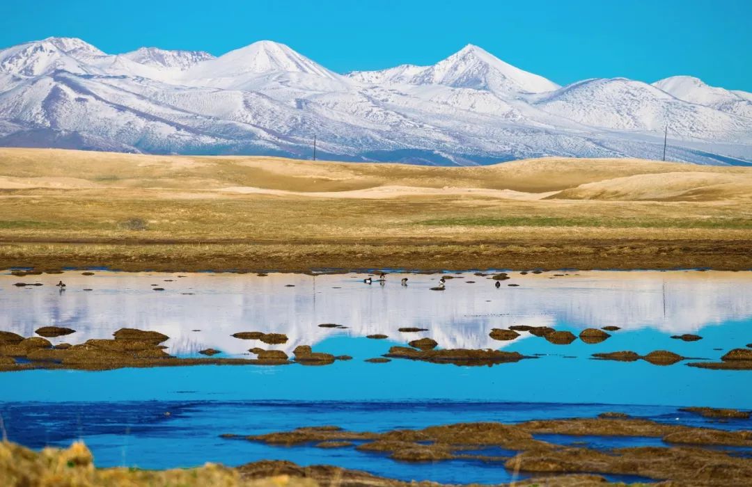 新疆的天堂在哪,新疆人间天堂在哪