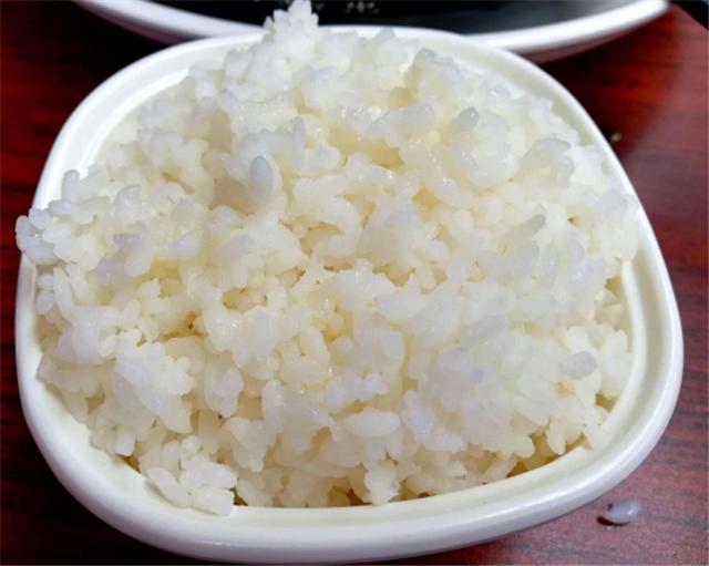 一月鄂尔多斯,带娃鄂尔多斯旅游攻略