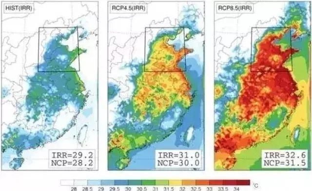 人类面临的生态困境包括哪,生态农业的可能性以及前景