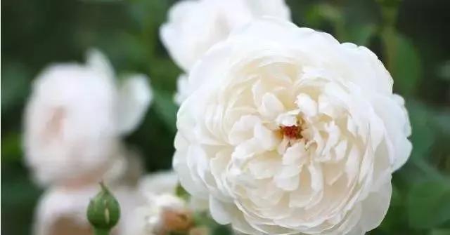 每天学习一点点女性小常识,每天学习一点点科普一下