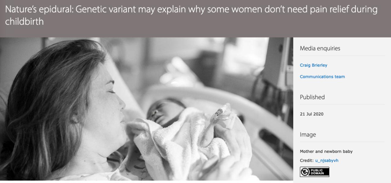 为什么有些女性生娃时没那么痛?可能是基因变异在“帮忙”