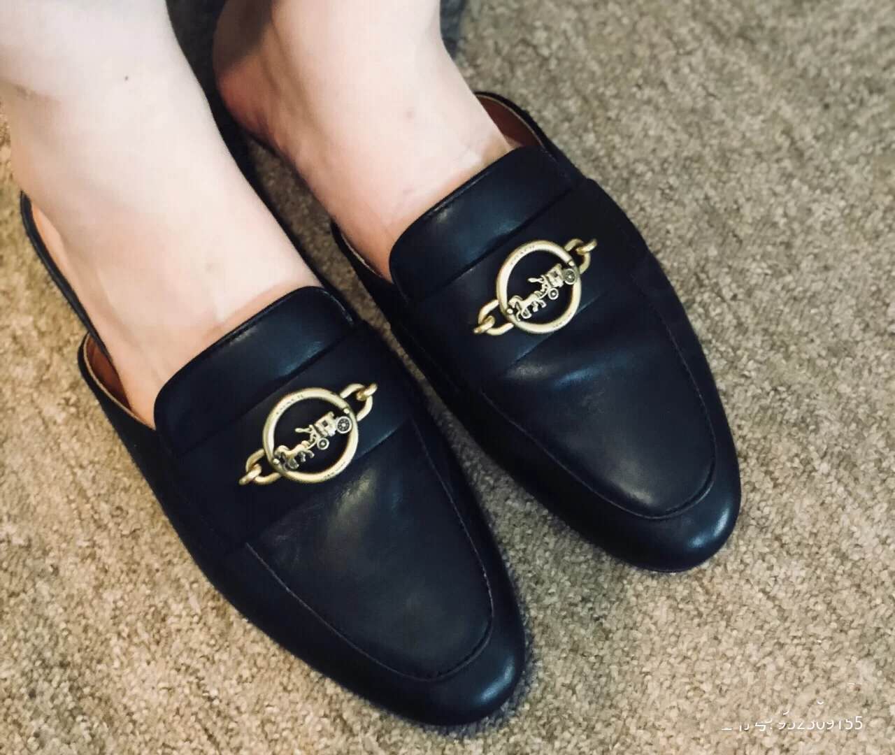 之前辱华的有哪些品牌,蔻驰辱华事件始末