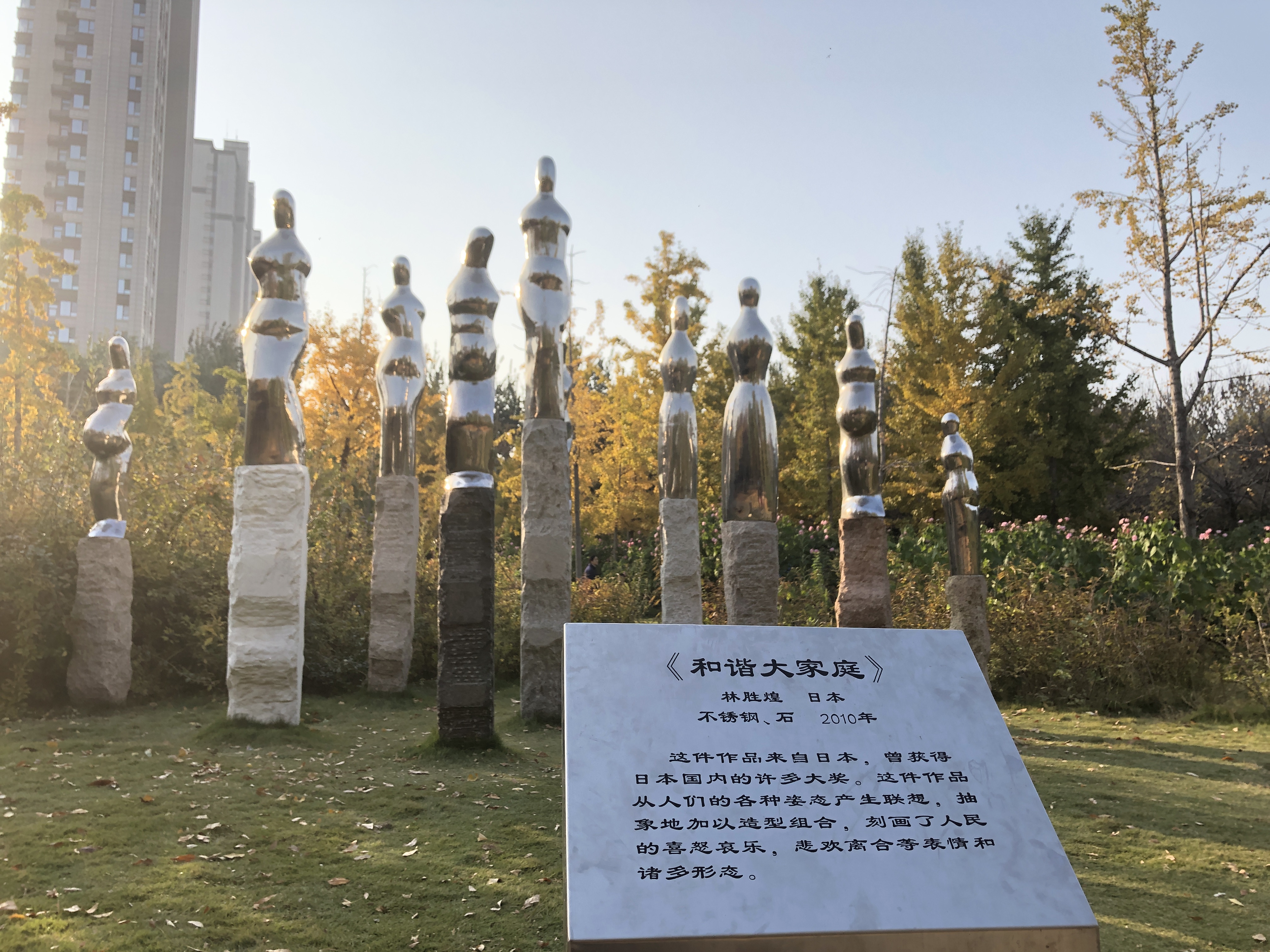济南森林公园夏荷之美,雨后的济南森林公园美景让人陶醉