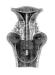 什么是近距离交叉口,什么是近距离用眼时间