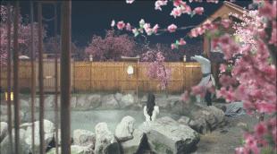 许光汉宋威龙视频通话模板,宋茜谭松韵任嘉伦李现千玺