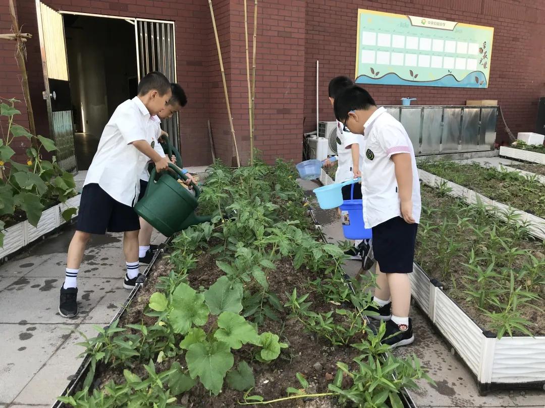 重庆渝北区最新学校,重庆渝北试点学校