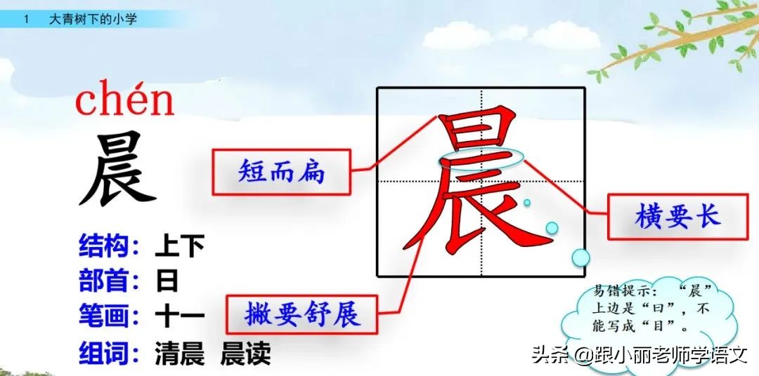 大青树下的小学重点知识点,大青树下的小学重点知识梳理