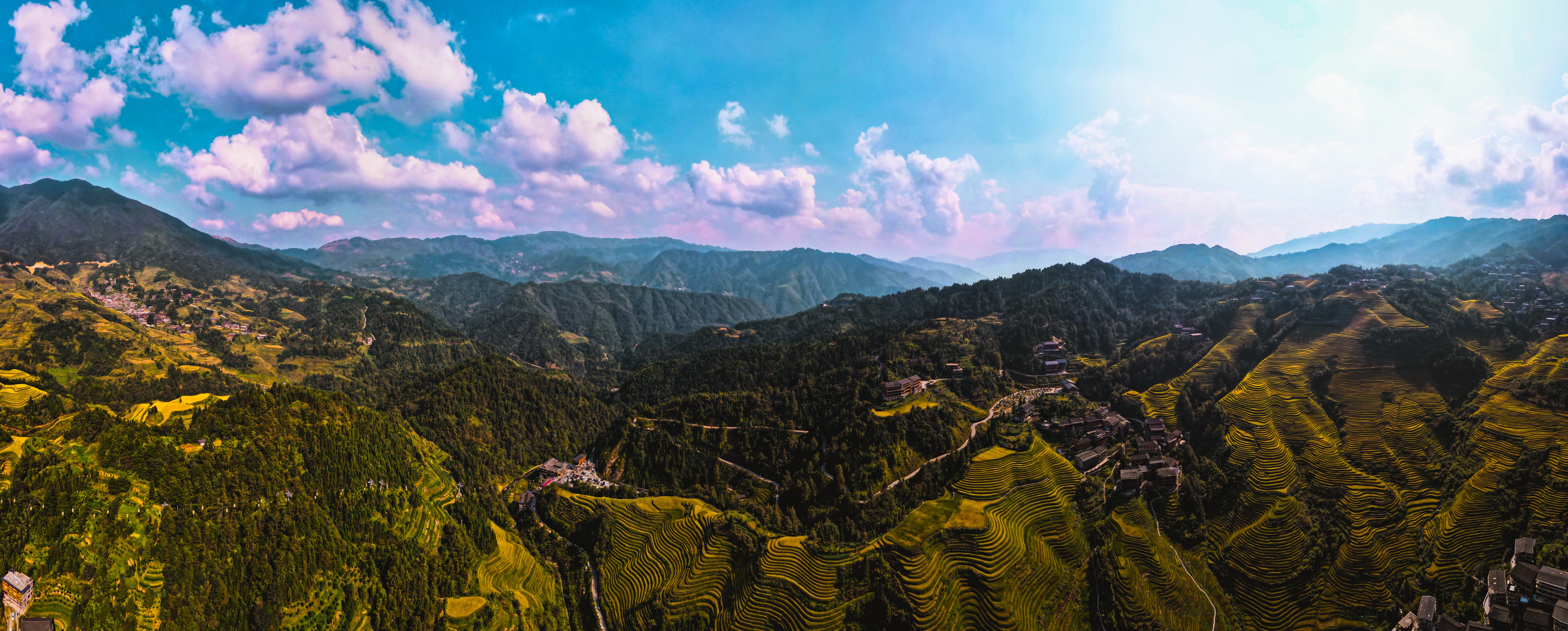 龙胜龙脊梯田香米,龙胜龙脊梯田分红