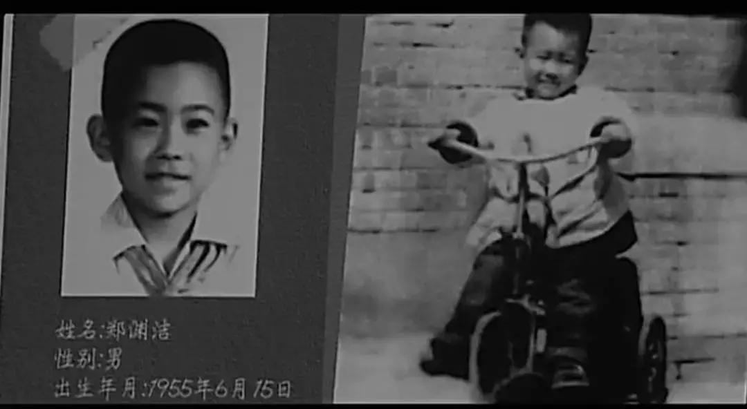 郑渊洁为什么能当童话大王,郑渊洁谎话大王