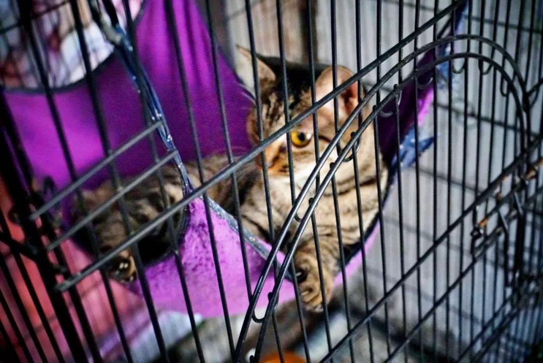 恒隆对面街店铺推荐,恒隆广场对面的甜品店