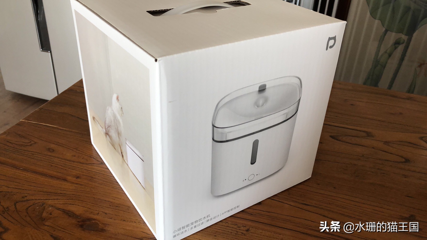 小顽智能宠物饮水机怎么使用,小清泉宠物无线饮水机测评