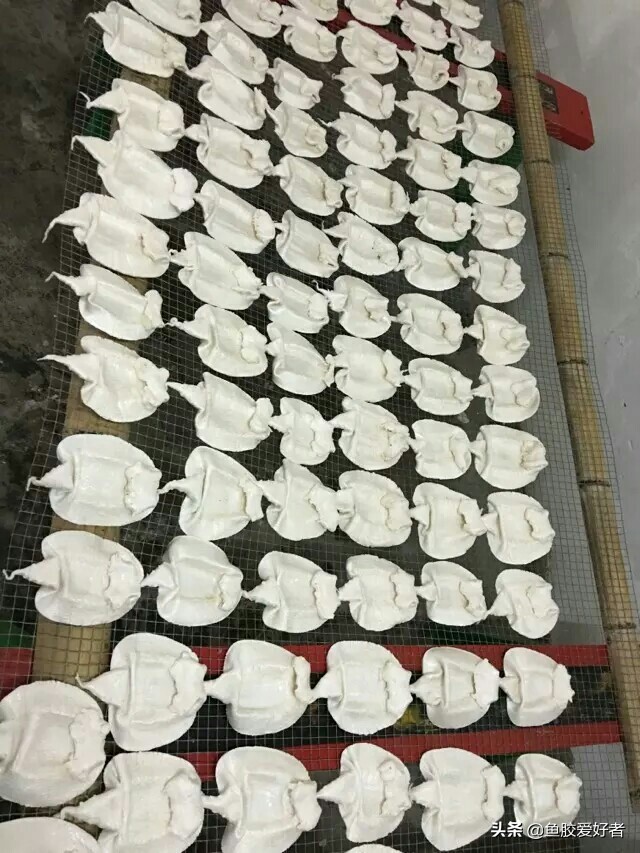 如何鉴别熏硫花胶,臭花胶真假辨别方法