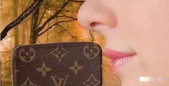 收藏干货的秘诀,收藏物品真假分辨方法