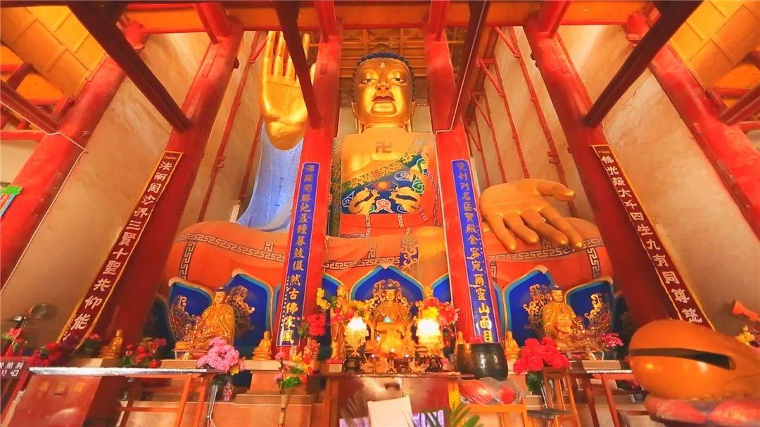 春暖花开等你来赏花,春暖花开等你来赏花原唱视频