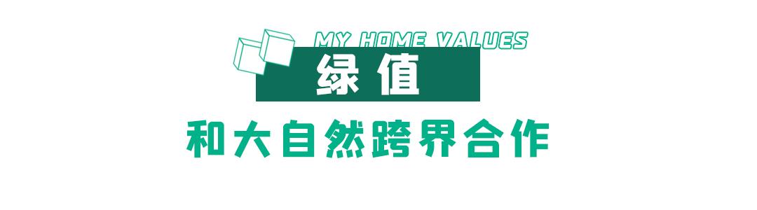 家的无限可能完整版,家的无限值