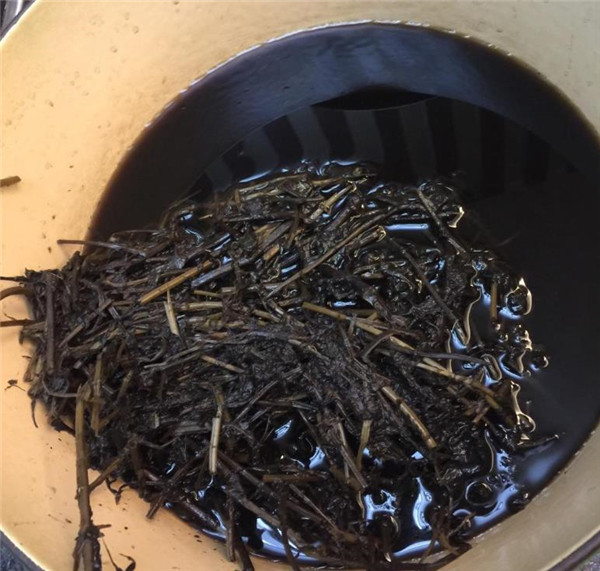 南方的凉粉和北方的凉粉不同,热天来一碗正宗的凉粉感觉爽极了