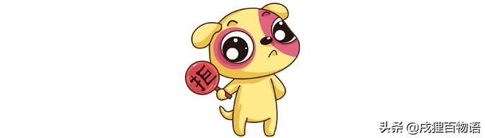 家里的狗狗发情了，该怎么照顾它？