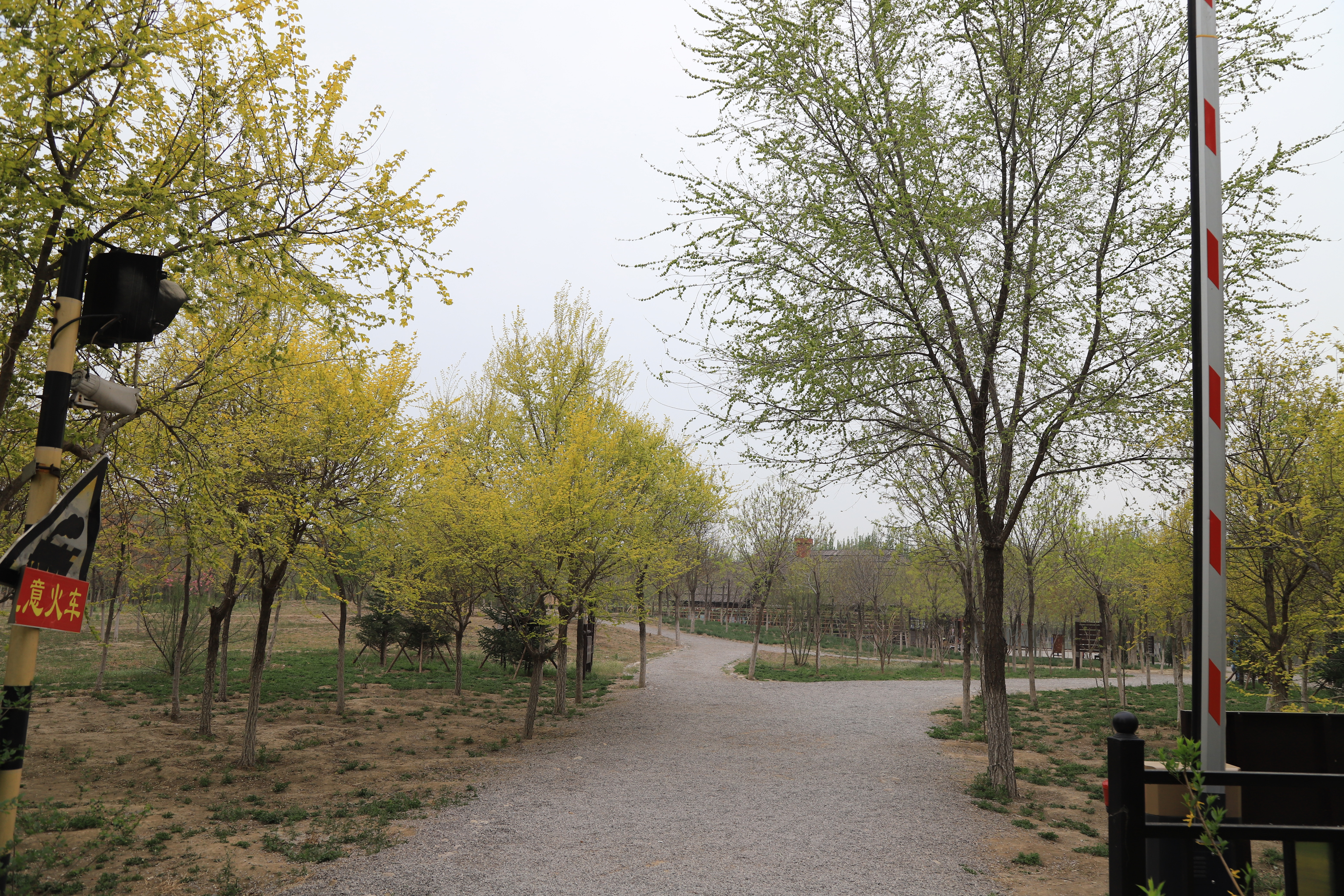 新奇好玩的公园,西青郊野公园开放最新通知