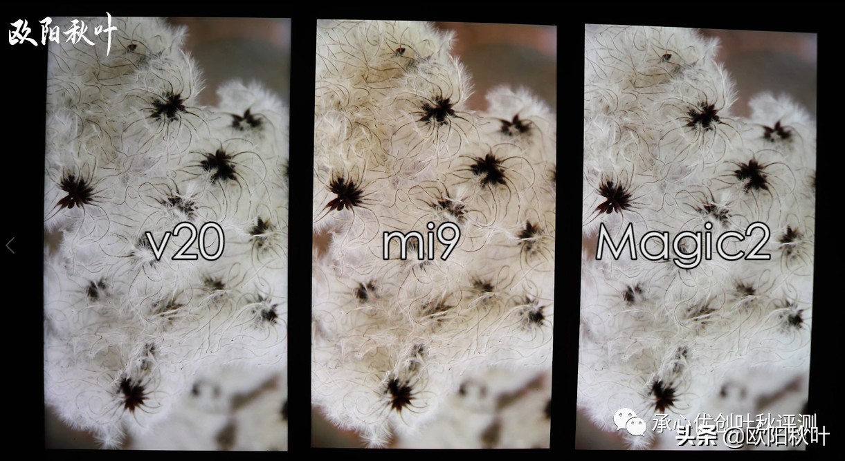 小米11ultra屏幕频闪,小米12pro屏幕频闪