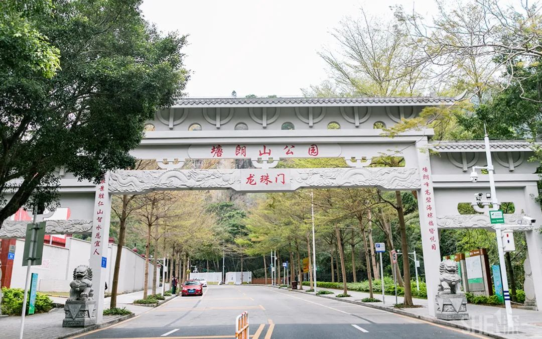 疫情期间免费开放的公园,疫情期间开放的公园有哪些