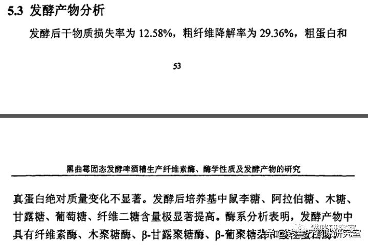 now猫粮和go猫粮,猫粮分析