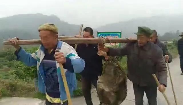 官坝抬工号子,庙宇镇抬工号子视频