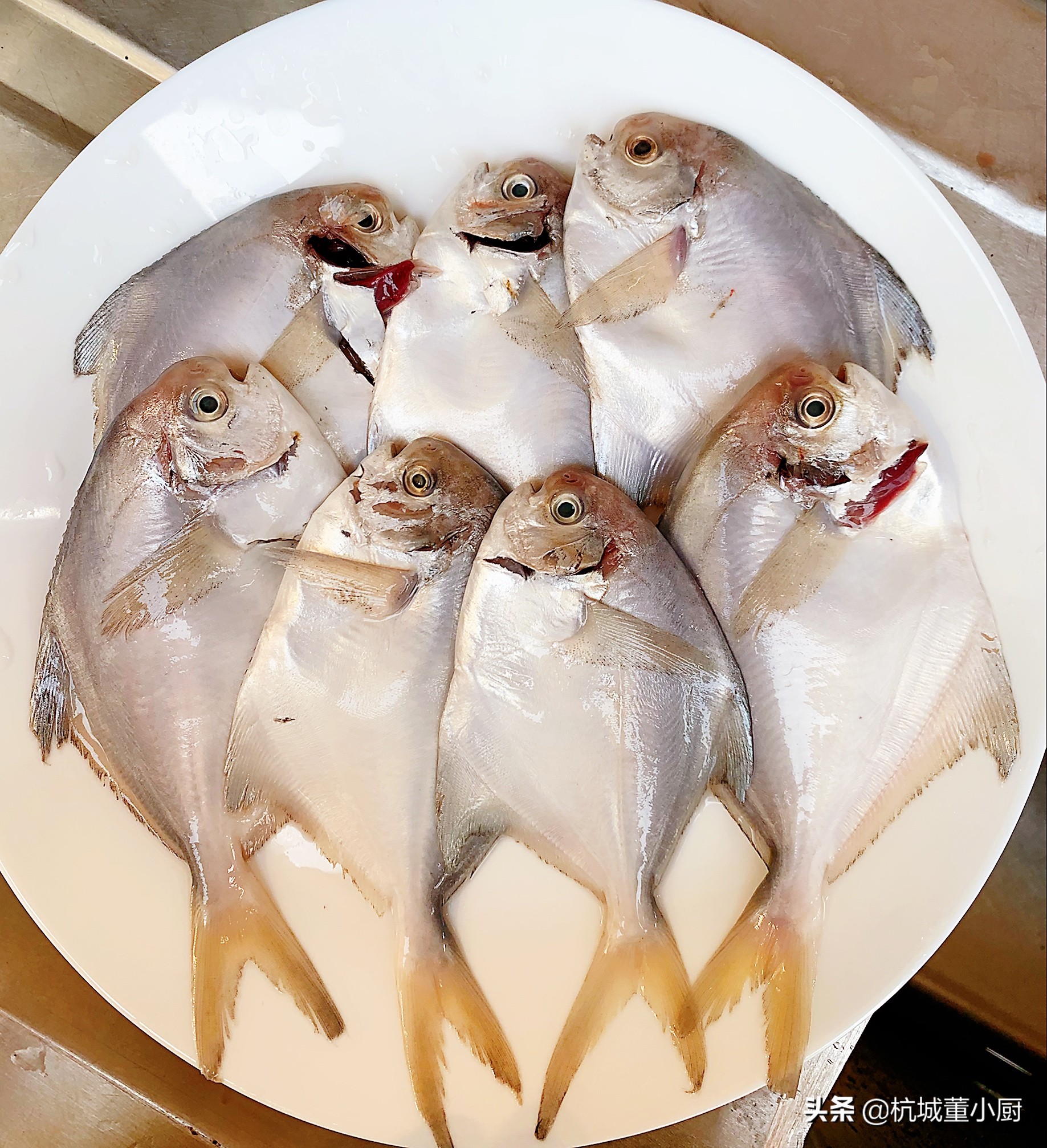 大厨红烧鲳鱼最正宗的做法,蒜子鲳鱼