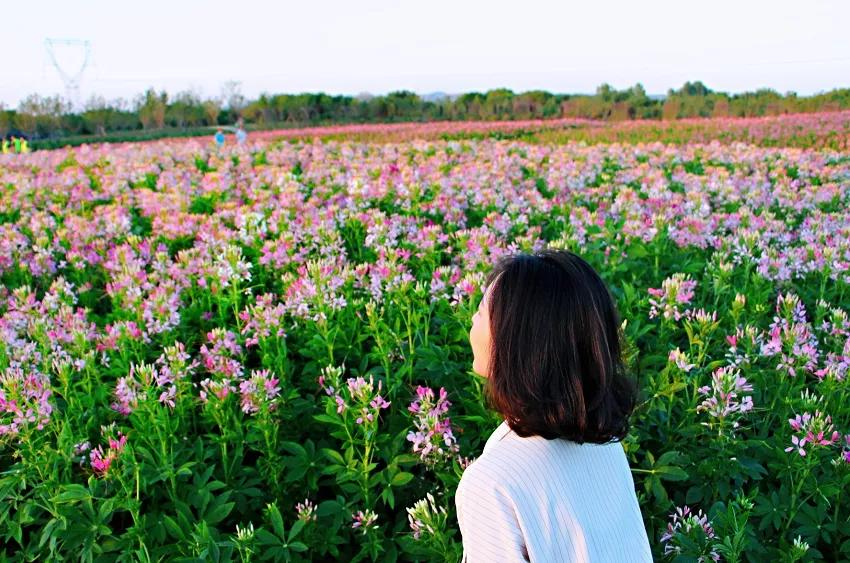 西安公园24小时开放,西安免费儿童玩的公园