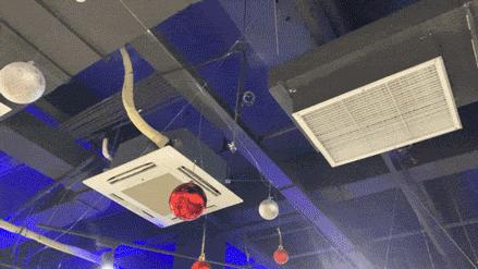 大连烫染推荐,大连发型烫染