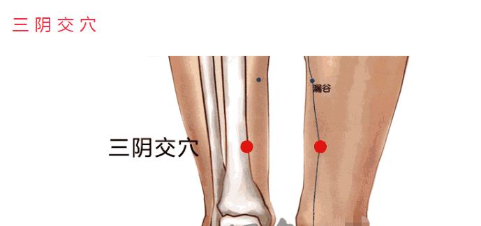 寒虚有湿艾灸穴位,补充阳气的艾灸穴位视频
