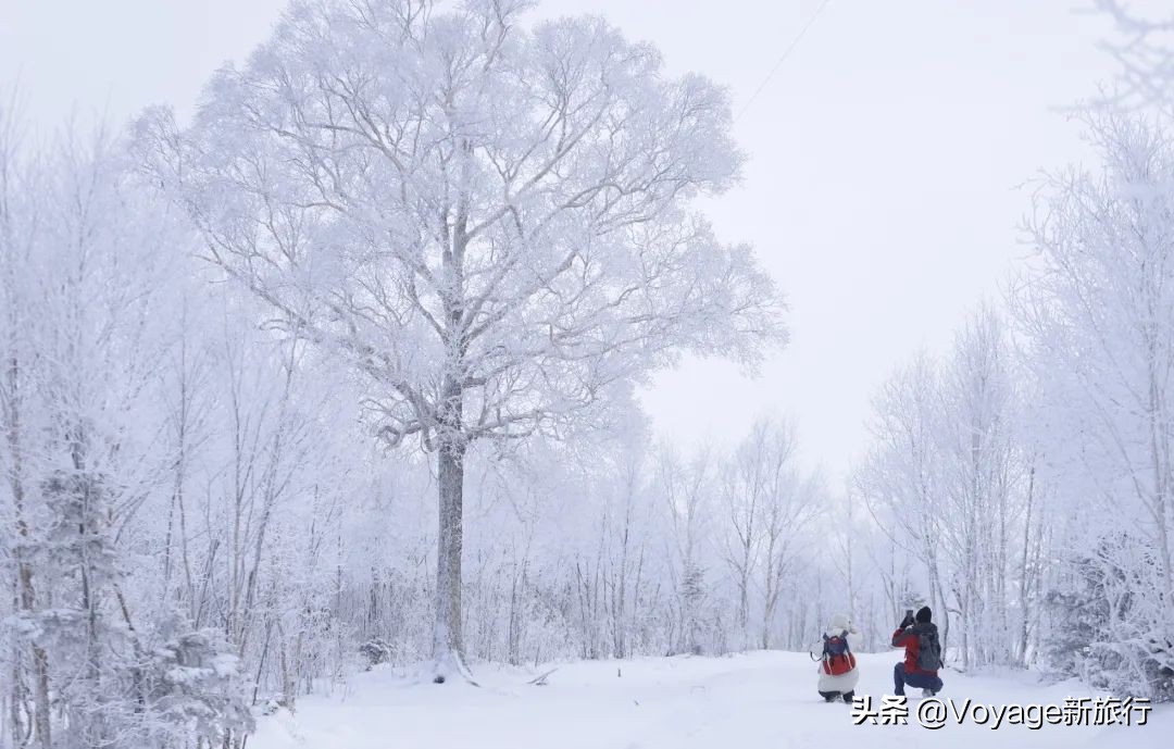 挑战21世纪最低温！我们为你盘点了比“泼水成冰”更美的冬日限定