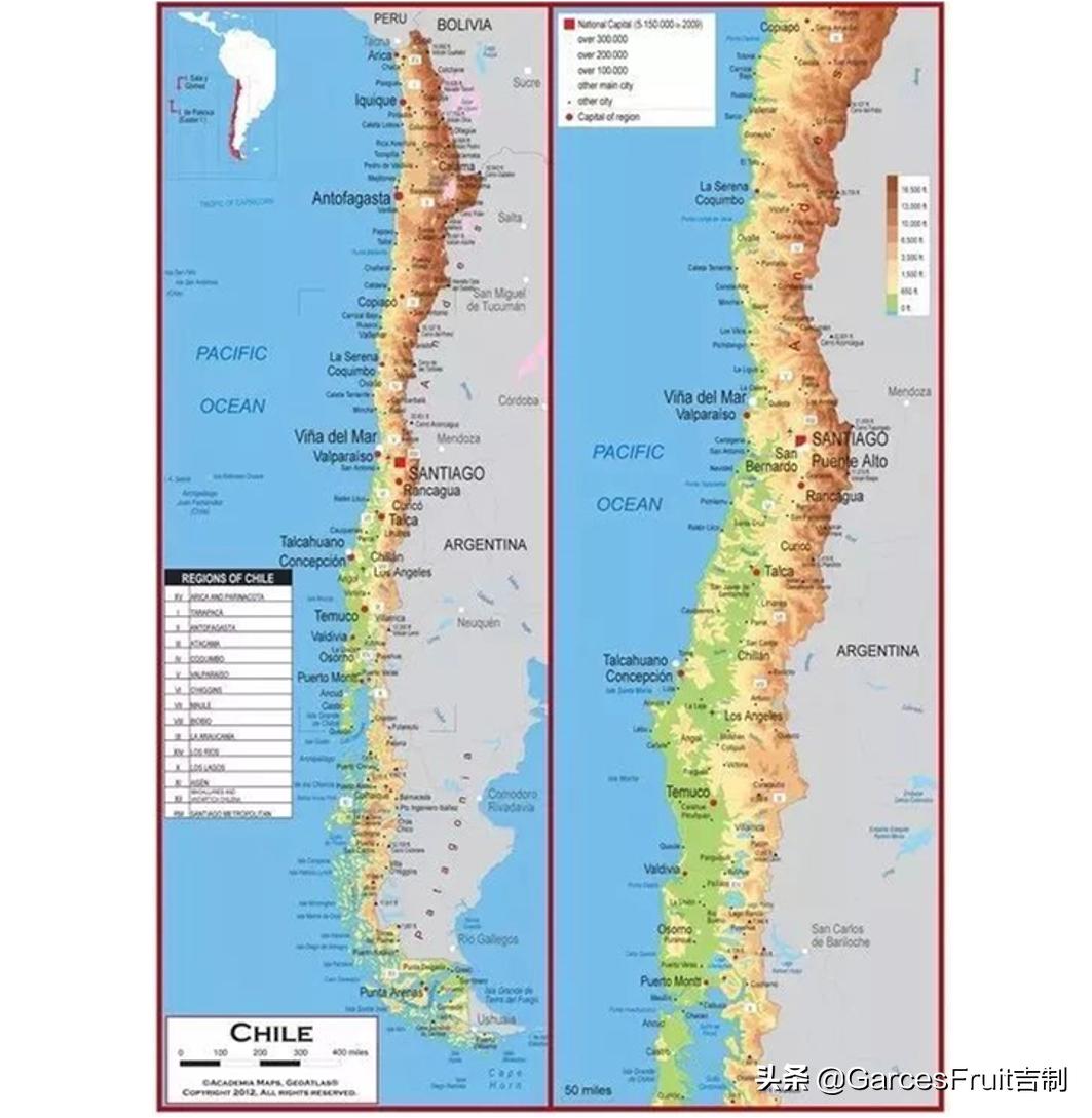 智利车厘子10大品牌,智利车厘子介绍视频