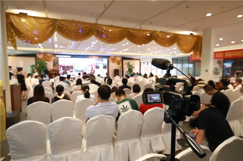 四川观茶｜华夏茶学携手湖南茶频道，打造茶文化最有价值网络主播