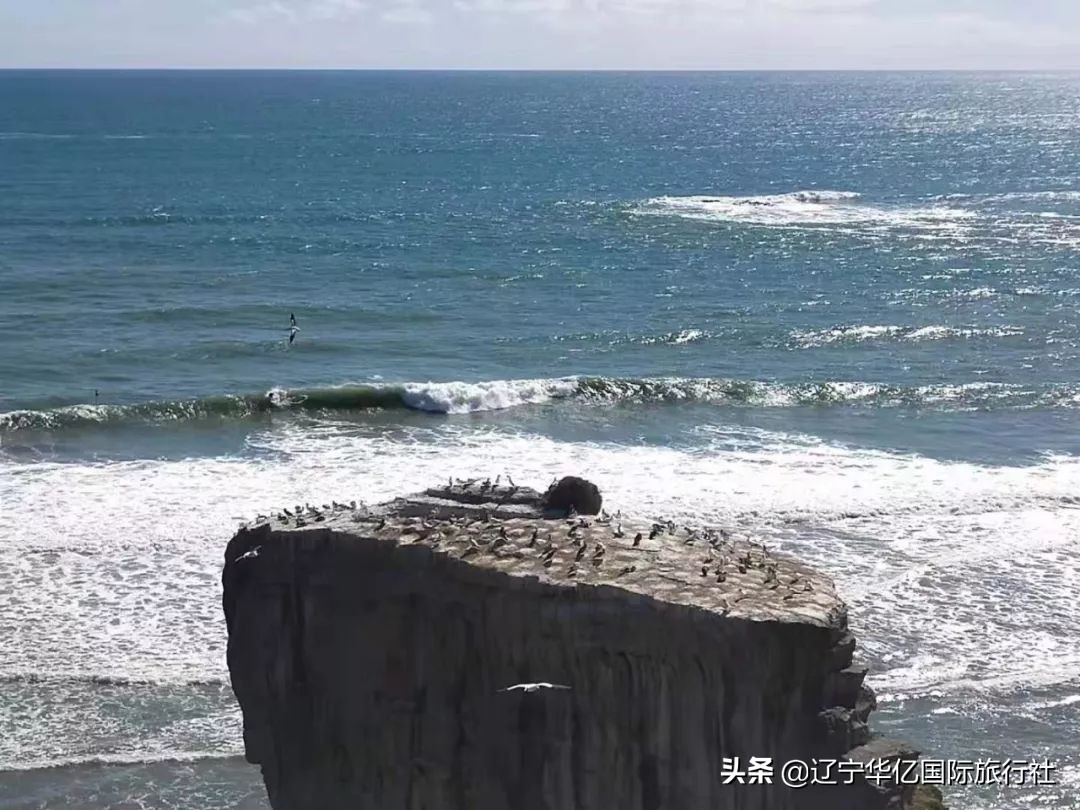 看世界震撼视频,看世界的震撼