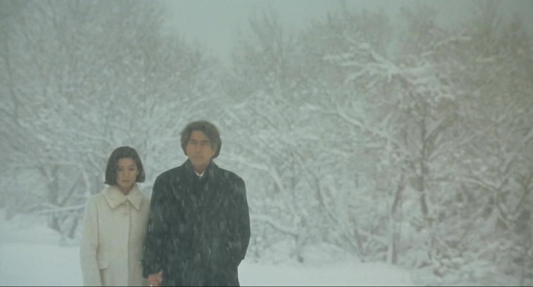 大尺度描写、日本婚外情小说,为何被奉为“震撼人心的杰作”?