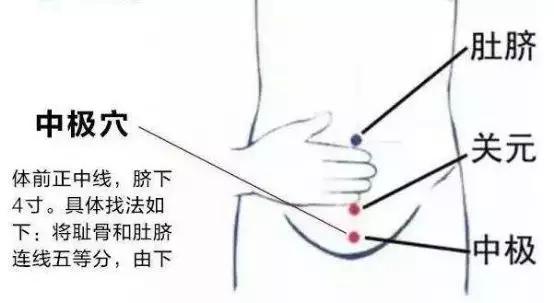 我想学中医的穴位按摩法去哪里学,不得不知道的穴位常识