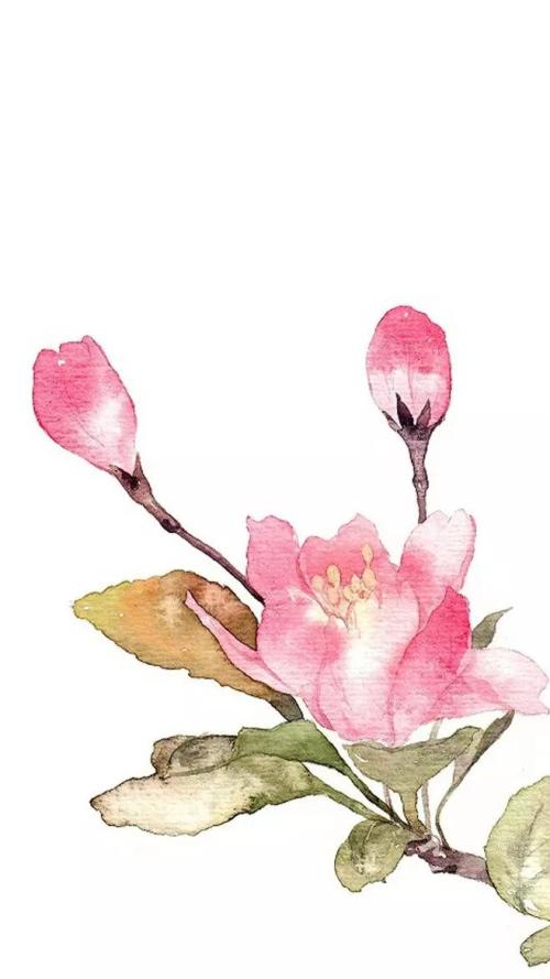 投桃报李的桃李是什么意思,投桃报李和桃李相报的区别