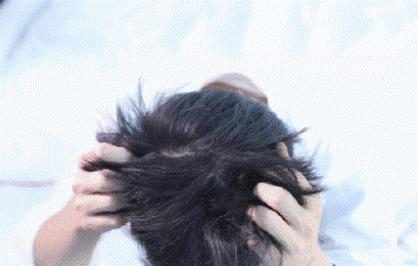 油头救星澳洲茶树洗发水,茶树精油酸性顺滑洗发水