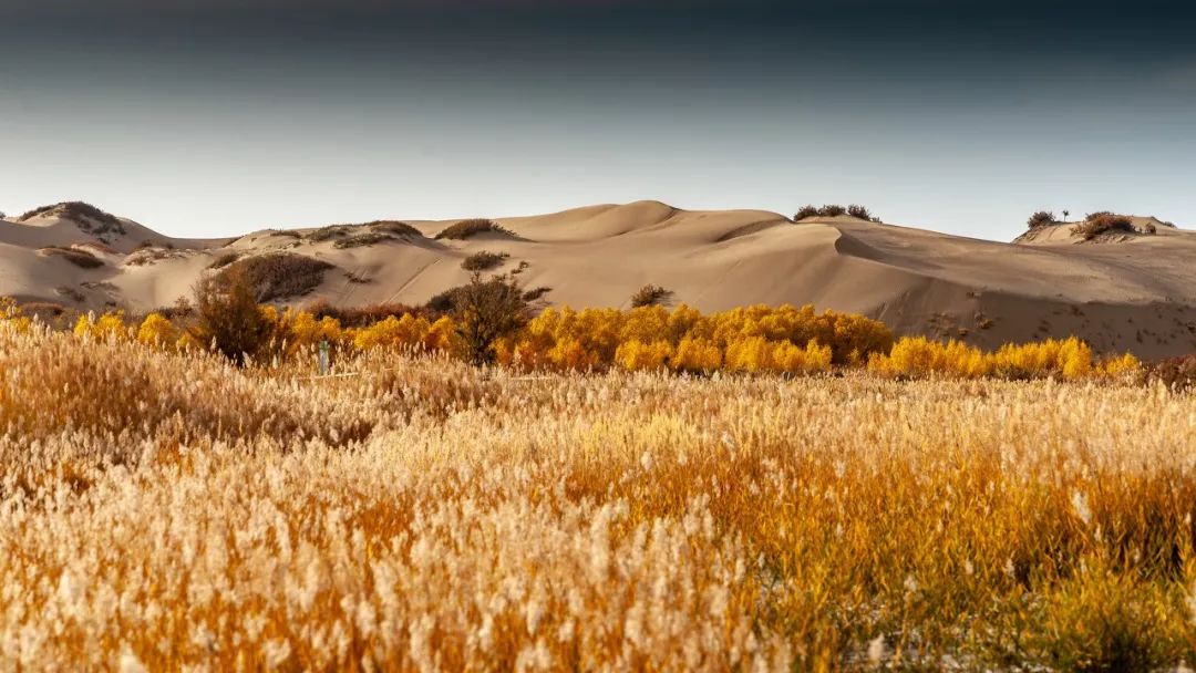 青海旅游攻略景点必去,一生一定要去一次青海吗