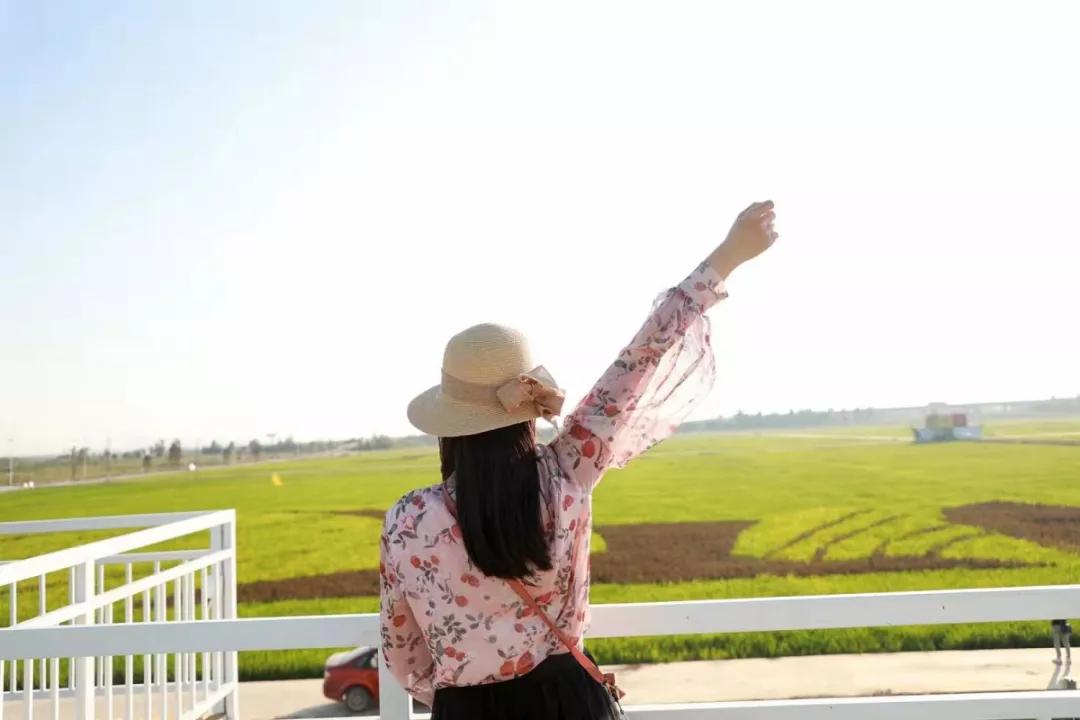 2020美到窒息！珠海的冬天，美炸了