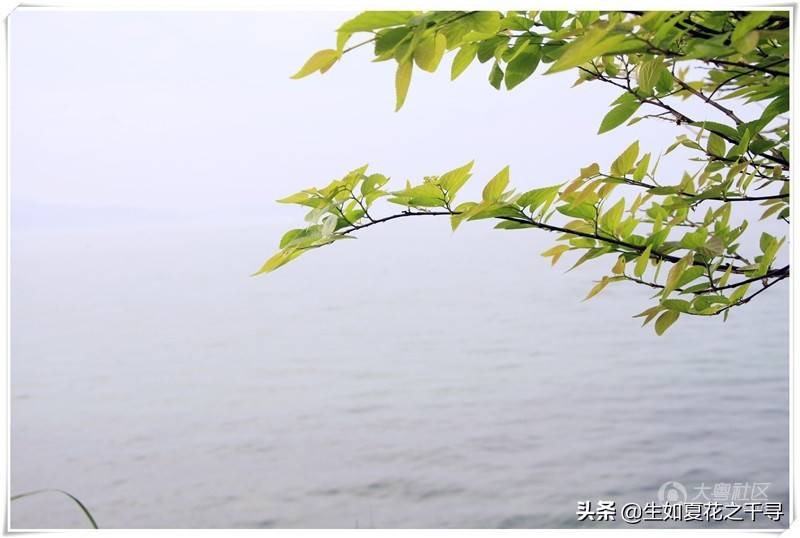 深圳市杨梅坑美人鱼拍摄基地,深圳大鹏杨梅坑美人鱼拍摄地点