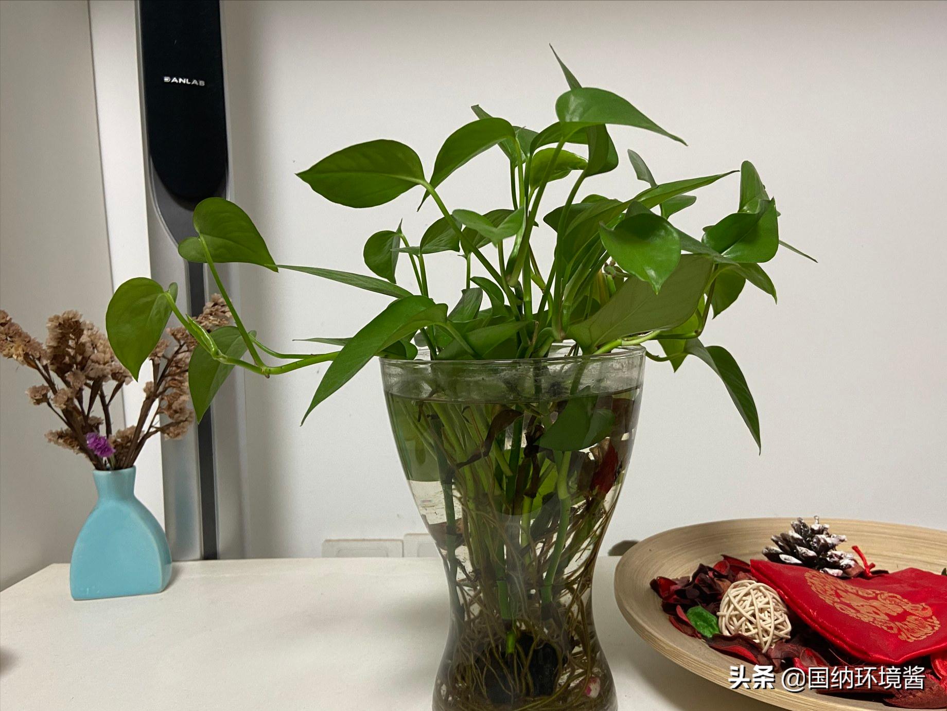 室内空气净化最佳长效除甲醛方案,室内空气净化甲醛治理方案