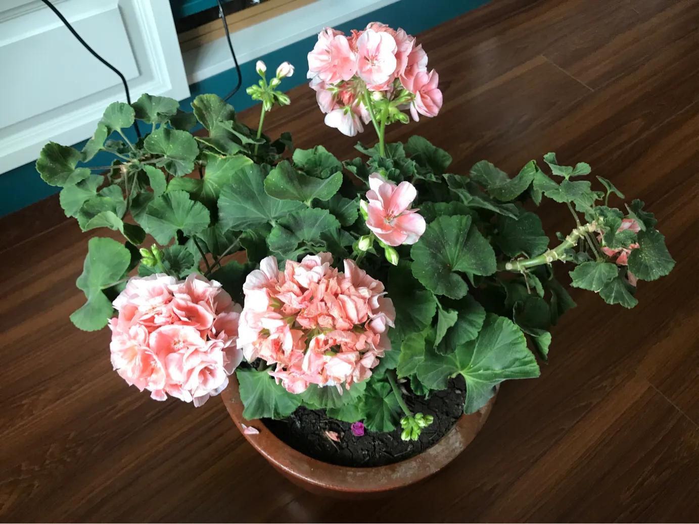 五一去吉木萨尔,八个月了第一次出游