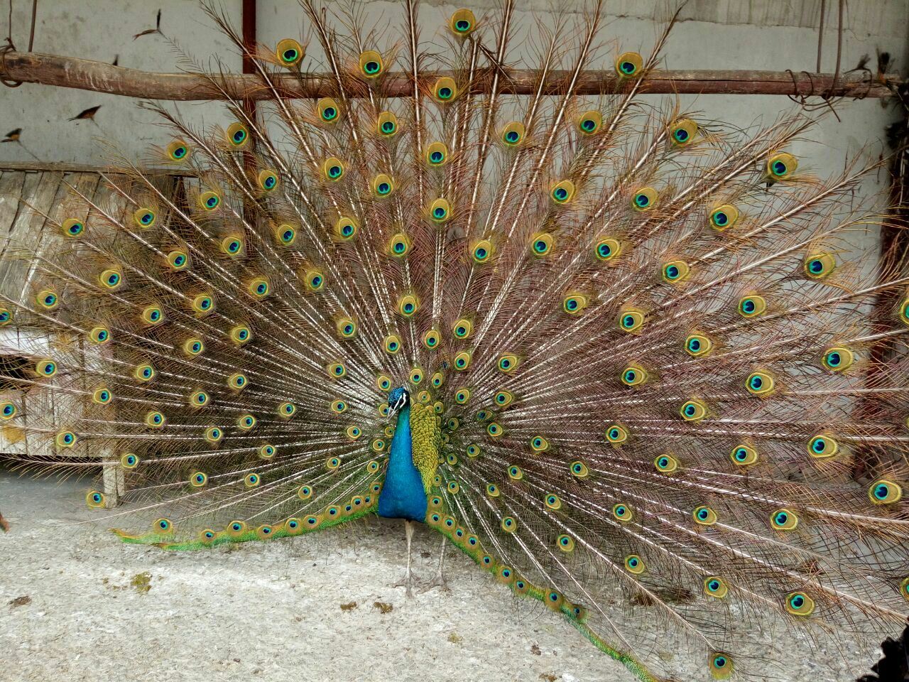 山西风景区有哪些好玩的景点推荐,山西哪里值得旅游景点推荐