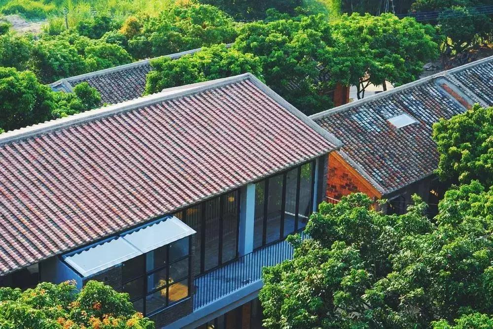 放弃世界顶尖银行工作,他回村当木匠,在废墟上盖出了爆美小院!