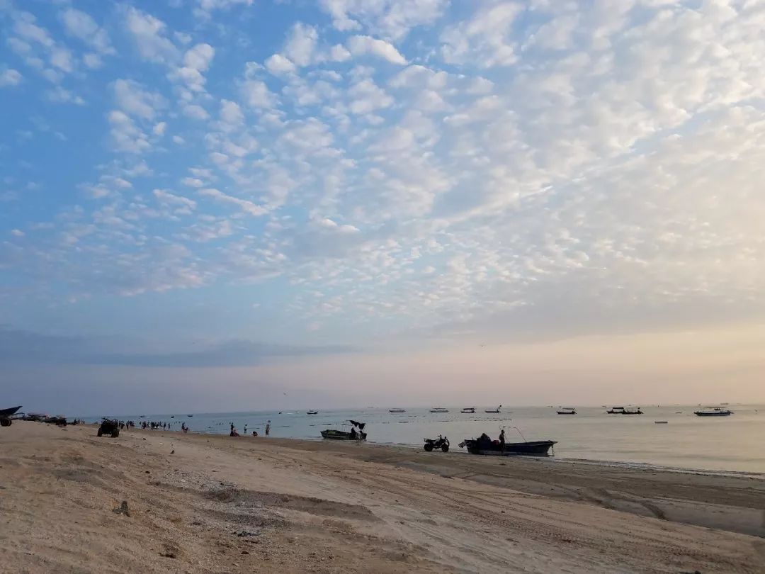 璐㈠姟骞村害鎶ュ憡鎵庡績,璋冧緝璐㈠姟鑷敱鍗佷釜鏍囧噯