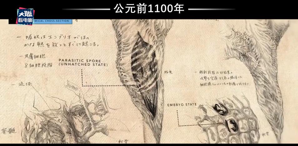怪兽宇宙系列所有怪兽战斗力排名,怪兽宇宙天花板实力排名