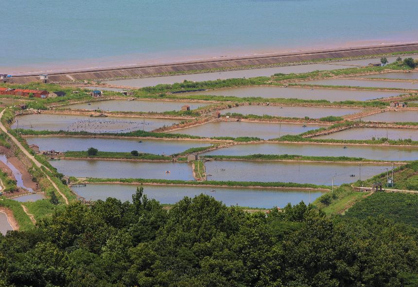 自驾游桃花岛攻略大全,自驾游桃花岛一日游攻略